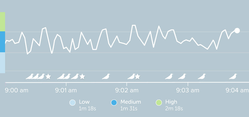Muse 2 | Muse™ EEG-Powered Meditation & Sleep Headband